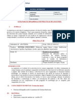 GUIA DE ANATOMÍA SESIÓN 3 Sistema Endocrino