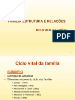 22 Familias Estruturas e Relações