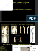 Anatomia Dos Animais Domesticos