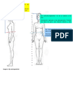 Ejes Cuerpo Femenino