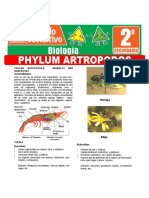 Phylum Artropodos para Segundo Grado de Secundaria