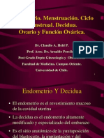 Endometrio. Menstruación. Ciclo