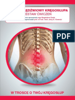 Zestaw Cwiczen Odcinek Ledzwiowy Kregoslupa