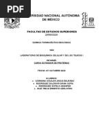 Informe Curva Estandar de Proteinas