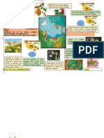 Infografia de La Abeja Haragana