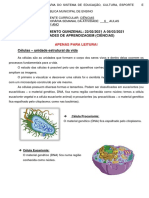 Ciências - Células - 6o Ano