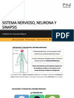 Fundamentos Neuropsicologicos