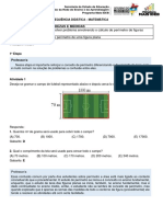 SD MTM D11 Perimetro de Figura Plana-Professor