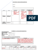 Diagnóstico L.S.B. Planificacion-Informe-1