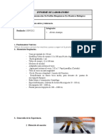 Informe Glucosa