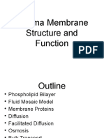 Cell Membrane and Active Transport