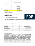 Informe Psicologico Pruebas Autoestima Cooper