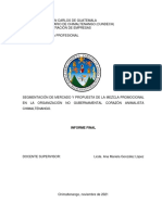 Informe Final Corani Ong 2021