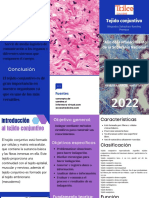 Triptico Anatomia