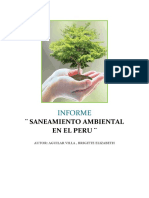 INFORME Saneamiento Ambiental