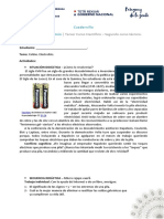 QUÍMICA 3° - PLAN COMÚN (6) - 02 May 6 - 2022