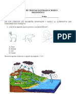 4° Diagnostico Ciencias Naturales