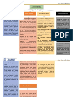 Mapa Conceptual (Generalidades de Las Operaciones de Crédito)