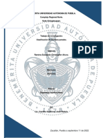 Clasificación de Los Tipos Penales.