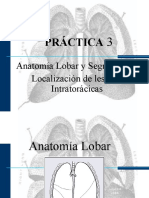 PRÁCTICA 03 - Anatomia Lobar y Segmentaria, Localizacion de Lesiones Intratoracicas