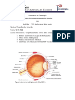 Anatomia Ocular