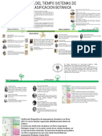 Linea Del Tiempo Sistemas de Clasificacion Botanica