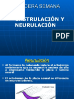 Neurulacion