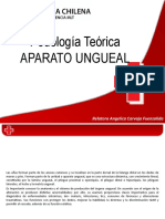 Clase 4 Onicopatologías Aparato Ungueal (Autoguardado)