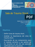 Area de Trauma Shock