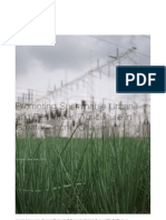 Promoting Sustainable Urban and Peri-Urban Agriculture in Greater Accra, Ghana: Dzorwulu Case Study