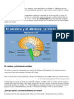 Sistema Nervioso Ii