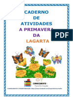 Caderno de Atividades A Primavera Da Lagarta 3º Ao 5º Ano