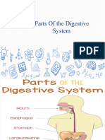 L2. Parts of The Digestive System