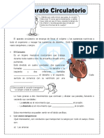 2.el Aparato Circulatorio