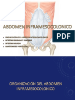 Abdomen Inframesocolonico Cat.2 Original