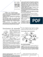 Guia 1 - Emprendimiento - 5° - Cuarto - Período