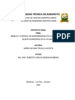 Manejo y Control de Enfermedades en Cultivo de Palma en El Ecuador-Karen Trujillo