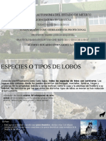 Presentacion Especies de Lobos