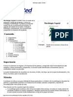 PDF Morfologia Vegetal Ecured - Compress