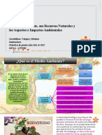 MA, Recursos Naturales, Aspectos e Impactos Ambientales