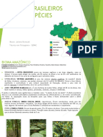 Biomas Brasileiros e Suas Espécies Nativas