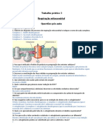 Questões Pós Aula Resolvidas - Trabalho Prático 3