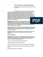 Trabajo Sobre Los Saltos de Altura y Longitud de Atletismo