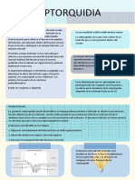 Apuntes Criptorquidia y Fimosis