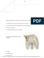 Estructura y Funcion Humana - T1