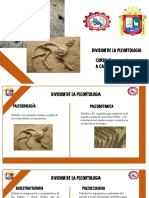 Division de La Paleontologia