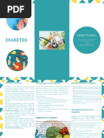 Triptico Diabetes 