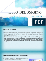 Presentación Ciclo Del Oxigeno