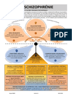 Schizophrenie Plus