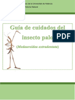 Actividad Insecto Palo